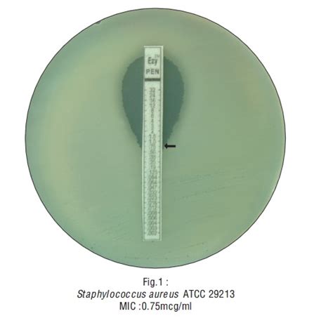 RIDACOM Comprehensive Bioscience Supplier Pristinomycin