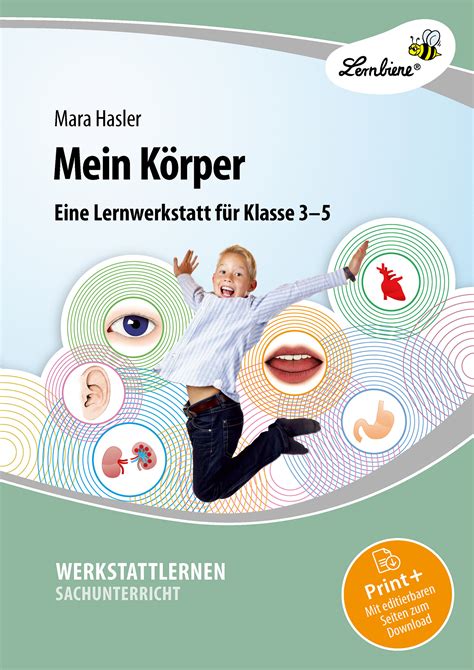 Sekundarstufe Unterrichtsmaterial Biologie Mein Körper