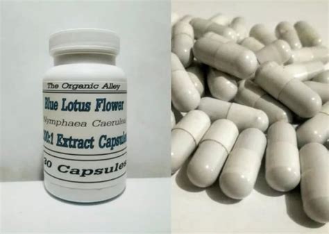 30 Capsules Blue Lotus Flower 2001 Extract 200x Etsy