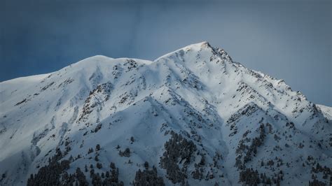 Wallpaper Trees Mountains Nature Snow Winter Alps Summit Ridge