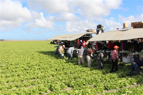 New Immigrant Worker Protection Act Now in Effect - Western Growers