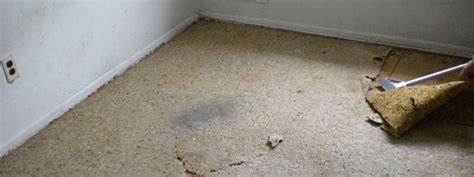 How To Remove Carpet Padding Stuck Concrete Floor | www.resnooze.com