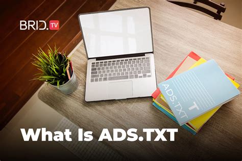 What Is Ads Txt And How To Implement It Targetvideo