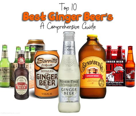 Top 10 Best Ginger Beers Of 2023 A Comprehensive Guide