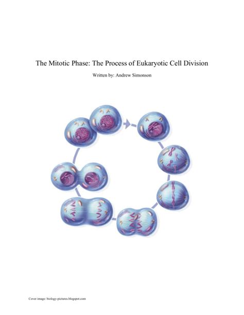 The Process of Eukaryotic Cell Division