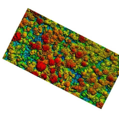 Canopy Height Model Chm 3 Dimension Using Quick Terrain Modeller Qtm Download Scientific