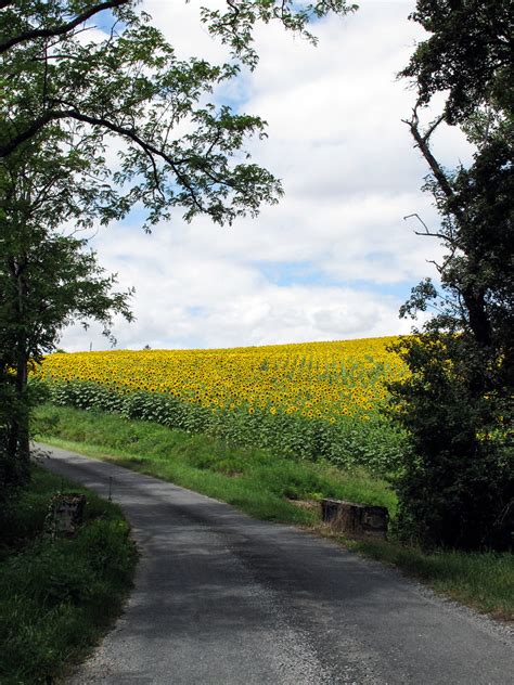 Petite route française claude HERRADA Flickr