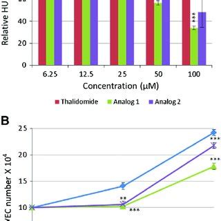 Effect Of Thalidomide And Its Dithiocarbamate Analogs On Huvec