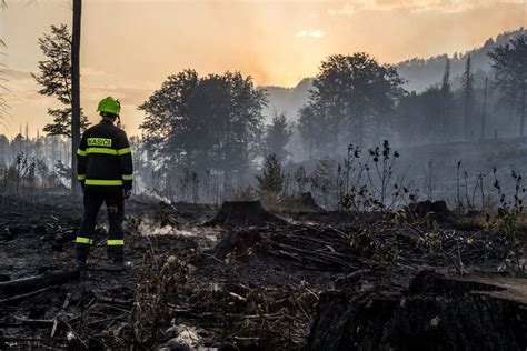 S Chsische Schweiz In Flammen Der Brand Und Seine Auswirkungen