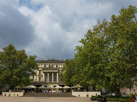 Poznań ma nowe pomniki przyrody Gdzie są Poznań ESKA pl