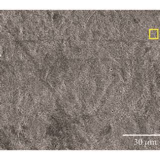 Surface scanning electron microscopy micrographs of sample (a) overview ... 
