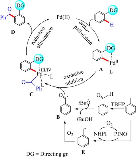 General mechanism of Pd II catalyzed C sp² H acylation Download