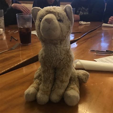 Not Nearly Osha Compliant Side Blog Horrid Terrible Nightmare Sex Tumblr Blog Tumlook