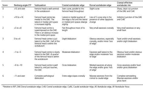 Labrador Hip Score And Hip Scoring For Hip Dysplasia