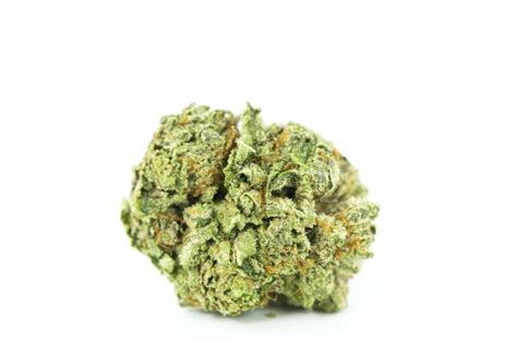 Banana Daddy Weed Strain Information Hi Wildflower