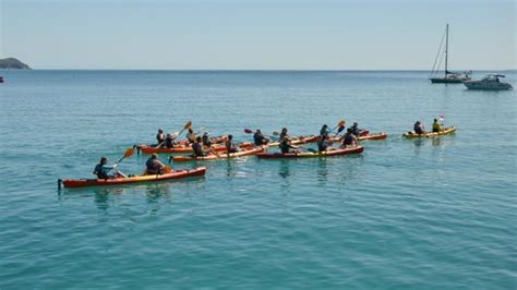 Charter Boat Cairns Fitzroy Island Tour Up To 300 Guests