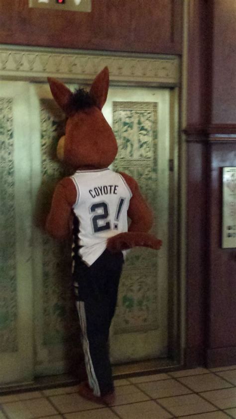 Spurs Mascot | Spurs, Mascot, Coyote