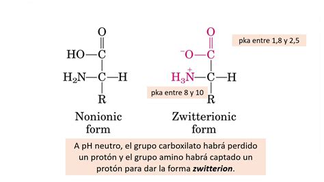 Ionización de aminoácidos y péptidos parte 1 Ejercicios Seminario