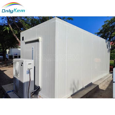 Walk In Cooler Cold Room Freezer Coldroom Chiller Walking Cold Storage