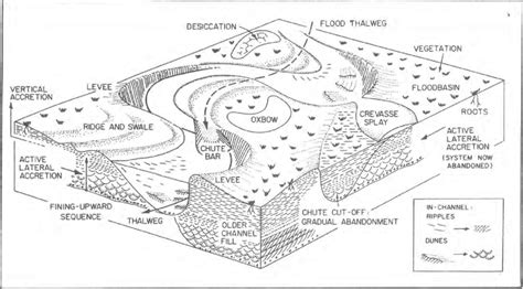 Block diagram showing morphological elements of a meandering river ...