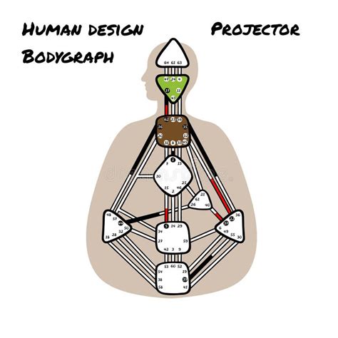 Generator Projector Manifestor Reflector. Five Human Design Types ...