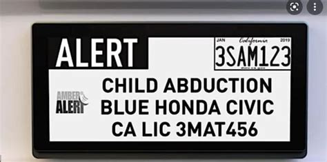 Digital License Plates Just Approved For CA: How Do They Work?