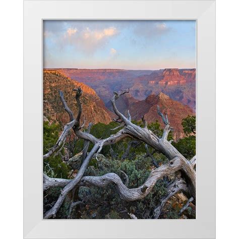 Fitzharris Tim 15x18 White Modern Wood Framed Museum Art Print Titled