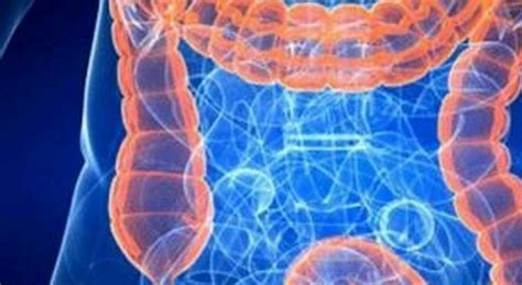 Tumore Colon Retto Trovata Una Cura Senza Chemio Con L Immunoterapia