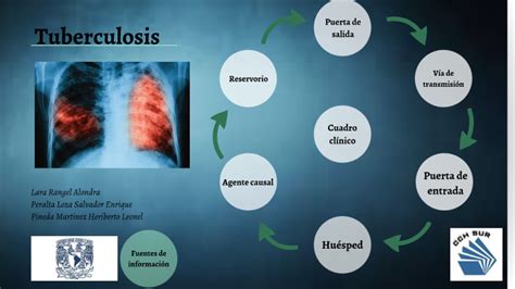 Cadena Epidemiologica De La Tuberculosis