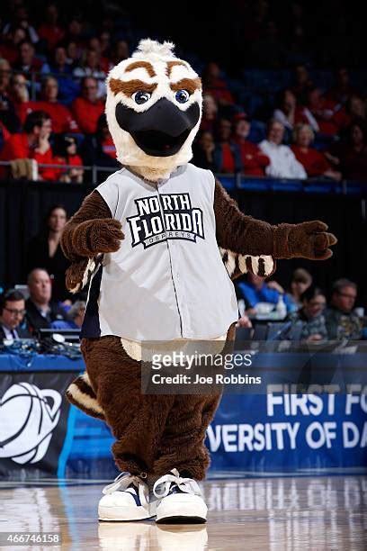 99 University Of Dayton Mascot Stock Photos, High-Res Pictures, and ...