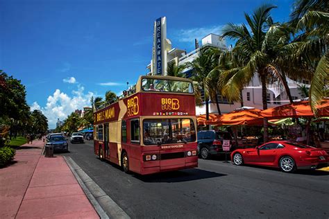 10 Best Miami Shore Excursions – Trusted Tours and Attractions