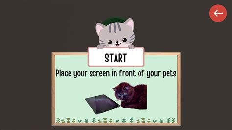 🕹️ Play Cat Fishing Game: Free Online Virtual Aquarium Video Game for Cats