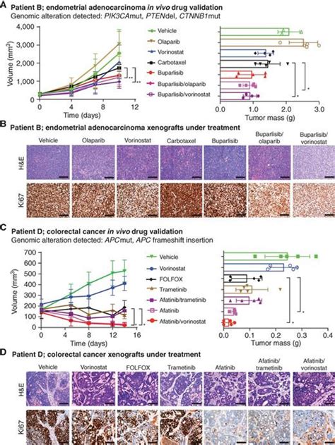 Personalized In Vitro And In Vivo Cancer Models To Guide Precision