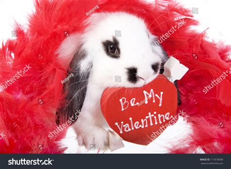 Valentines Day Bunny Rabbit With Red Heart That Says Be My Valentine Isolated On White