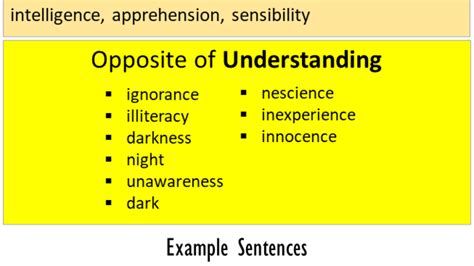 Opposite Of Understanding Antonyms Of Understanding 40 Off