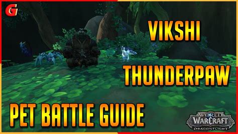 Vikshi Thunderpaw Pet Battle Guide Dragonflight YouTube