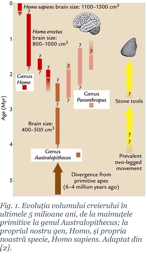 Paradoxul Sapien Ial Capcana B Rfelor I Unele Schimb Ri Climatice