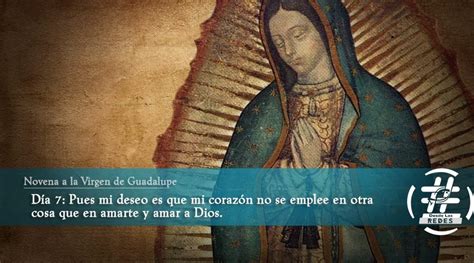 Séptimo Día de la Novena a la Virgen de Guadalupe - Desde las Redes