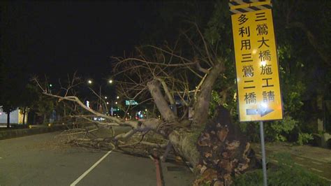 無風無雨！ 路樹倒塌壓毀7機車 一片狼藉 民視新聞網 Line Today