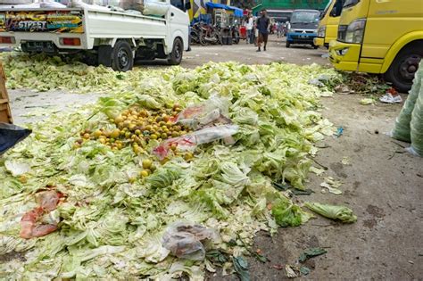 Unlocking The Potential of Biodegradable Waste: Your Eco-Friendly Guide