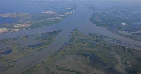 Major Grant To Plan Future Of Louisiana Birds Foot Delta Environment