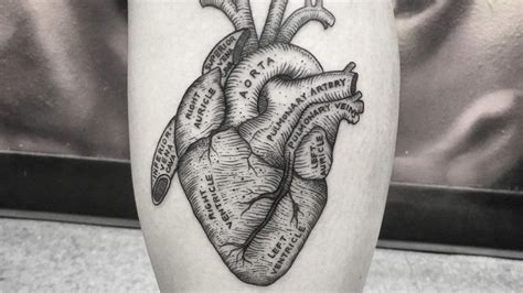 101 Best Anatomical Heart Tattoo Ideas That Will Blow Your Mind