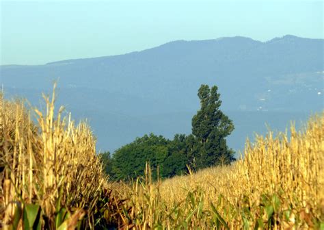 images landscape nature mountain field meadow prairie