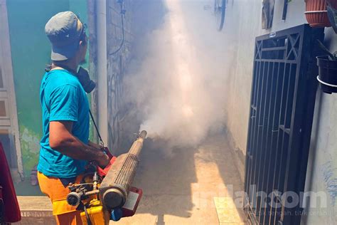 Foto Fogging Berantas Nyamuk Demam Berdarah Di Pemukiman Padat