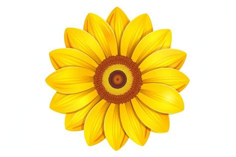 Sunflower Drawing Flower Drawing Graphic By Ranya Art Studio Creative