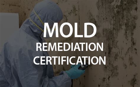 Mold Remediation Certification Online Mold Inspector Training