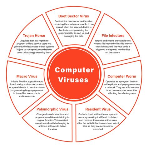 What is a Computer Virus? - Definition, History, Protection Methods