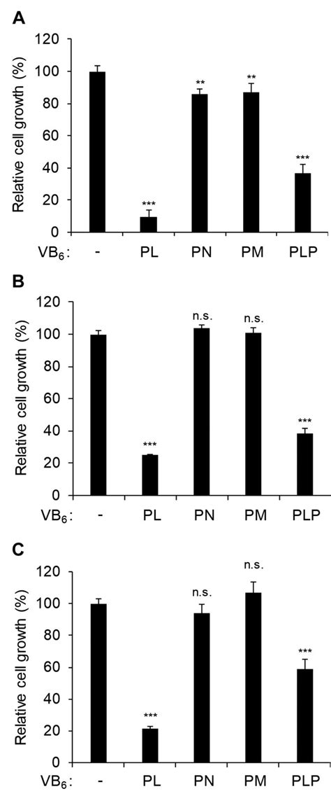 In Vitro Anticancer Activities Of B6 Vitamers A Mini Review