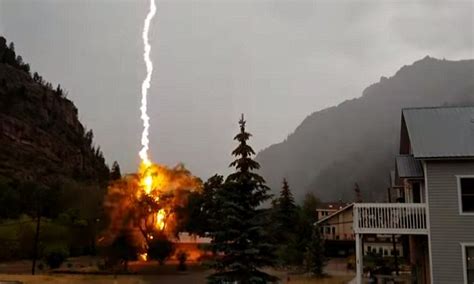 Amazing Lightning Strike On Tree Sends Chunks Of Wood Flying In Wild