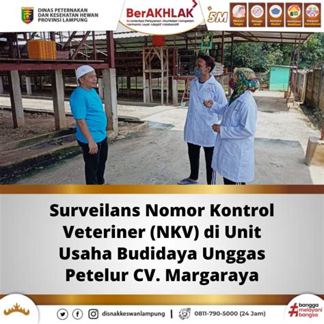 Surveilans Nomor Kontrol Veteriner NKV Di Unit Usaha Budidaya Unggas